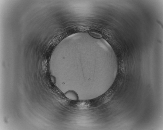 X0000101160319200807251116