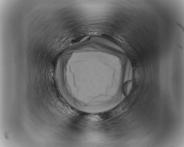 X0000101160322200807251116
