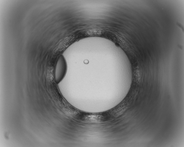 X0000101160323200807251116
