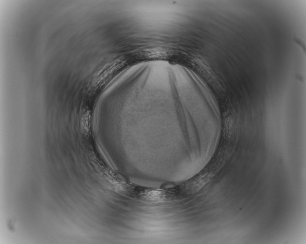 X0000101160325200807251116