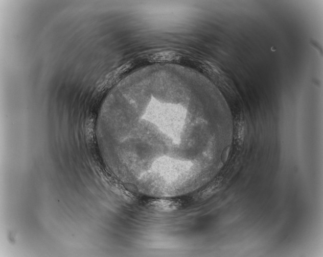 X0000101160326200807251116