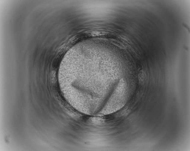 X0000101160327200807251116