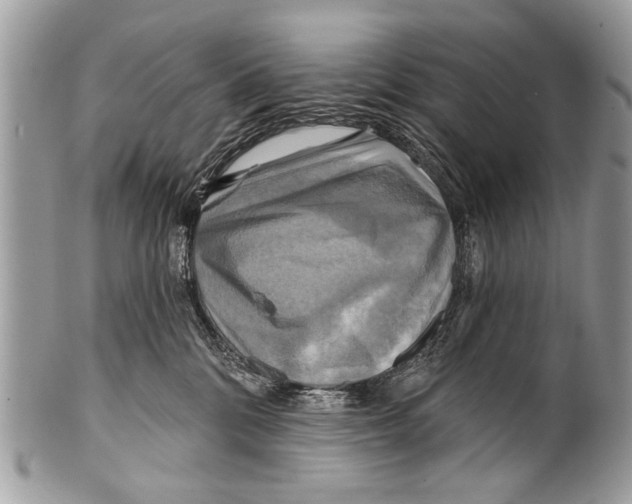 X0000101160328200807251116