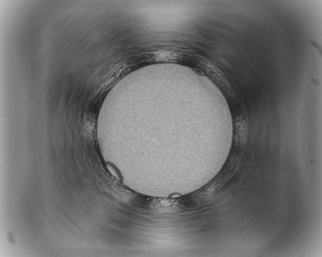 X0000101160329200807251116