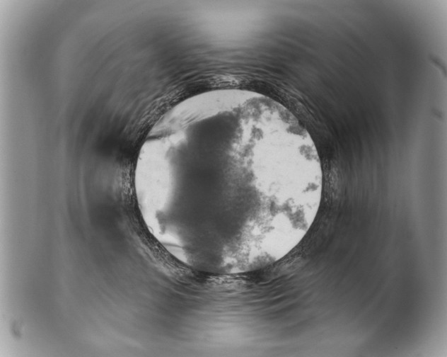 X0000101160331200807251116