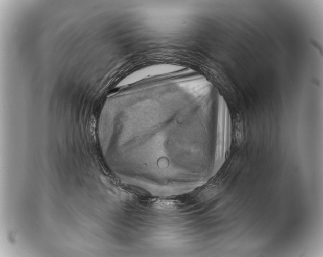 X0000101160332200807251116