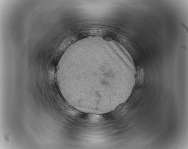 X0000101160333200807251116