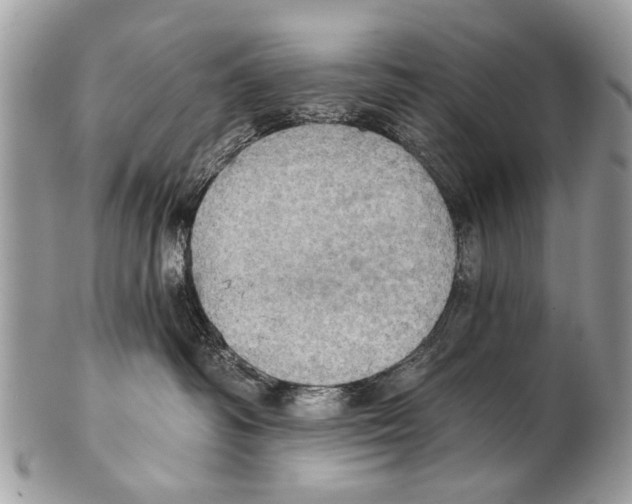 X0000101160334200807251116