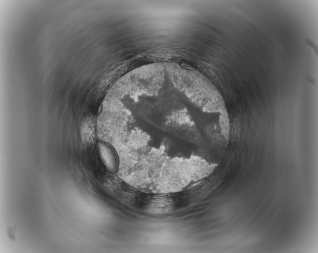 X0000101160335200807251116