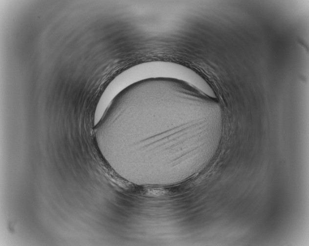 X0000101160336200807251116