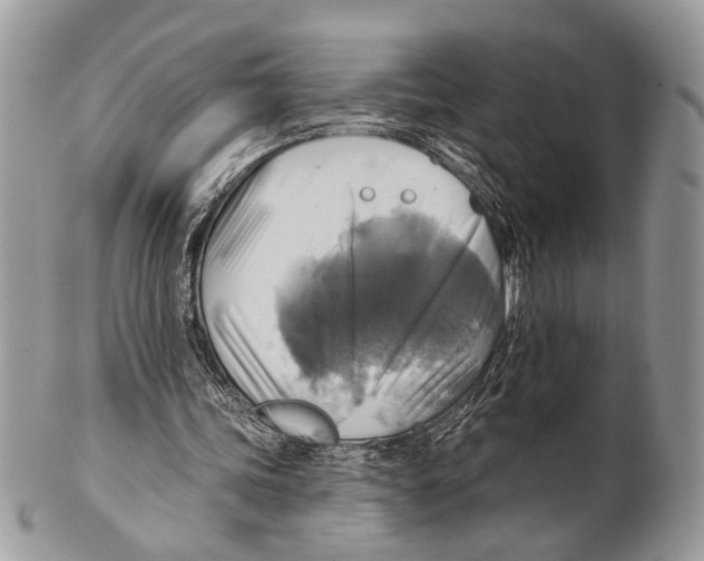 X0000101160339200807251115