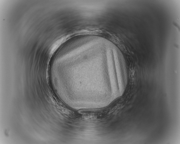 X0000101160340200807251115