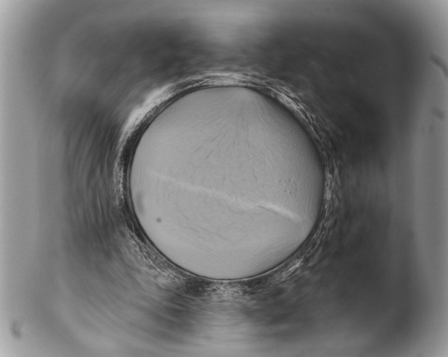 X0000101160343200807251115