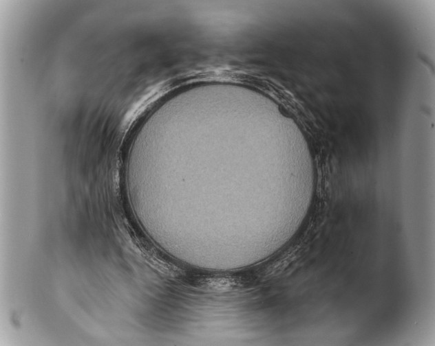 X0000101160344200807251115