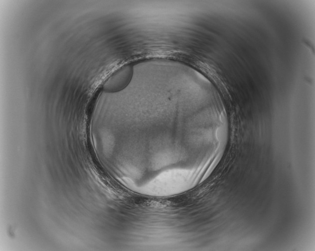 X0000101160346200807251116