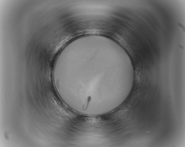 X0000101160347200807251116