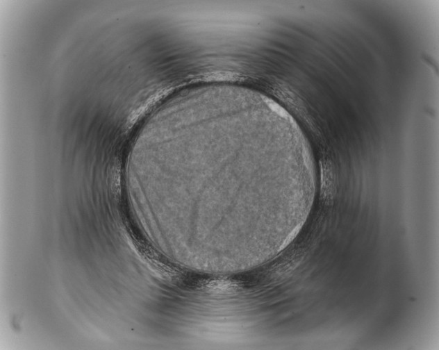 X0000101160348200807251116