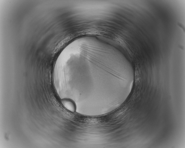 X0000101160349200807251116