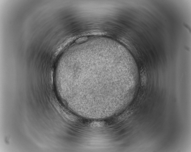 X0000101160350200807251116