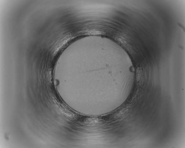 X0000101160351200807251116