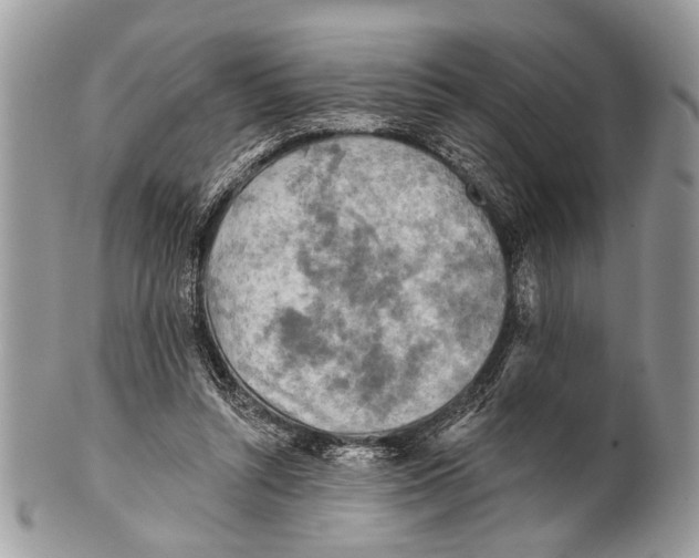 X0000101160352200807251116