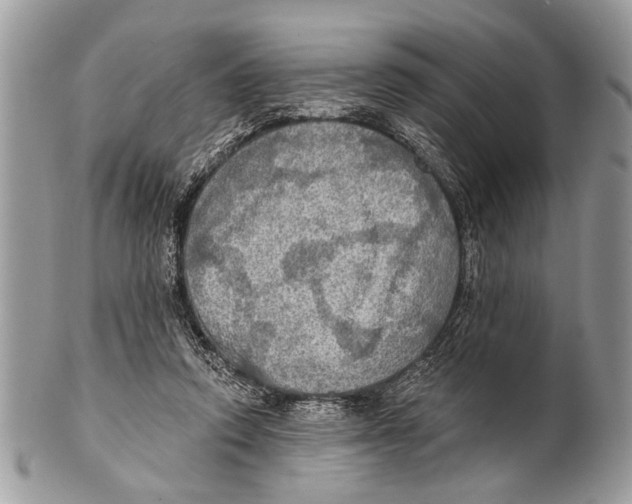 X0000101160354200807251116