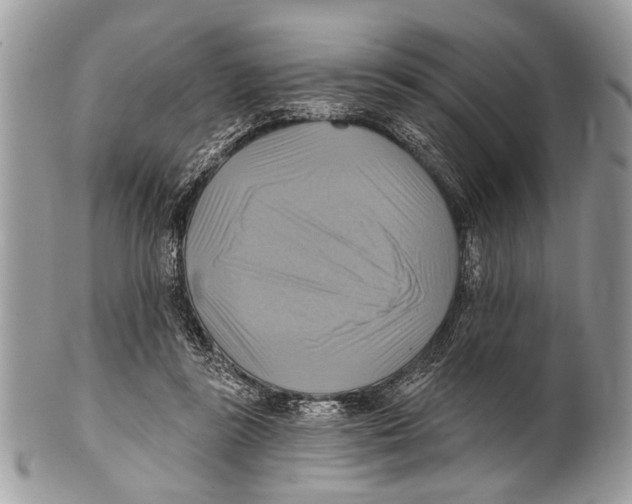 X0000101160355200807251116