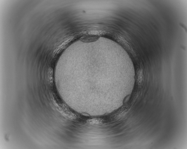 X0000101160356200807251116