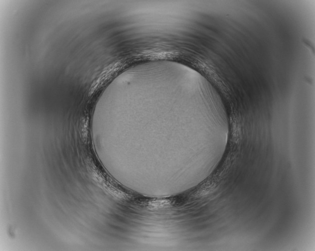 X0000101160357200807251116