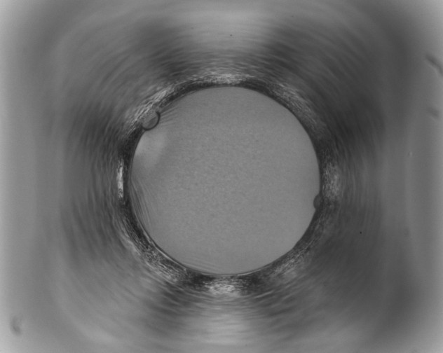 X0000101160358200807251116