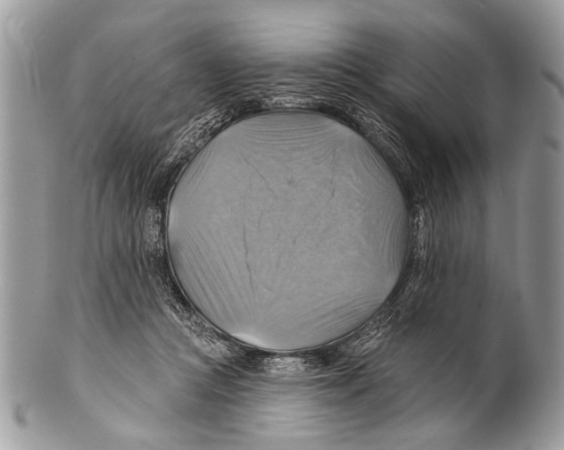 X0000101160361200807251116
