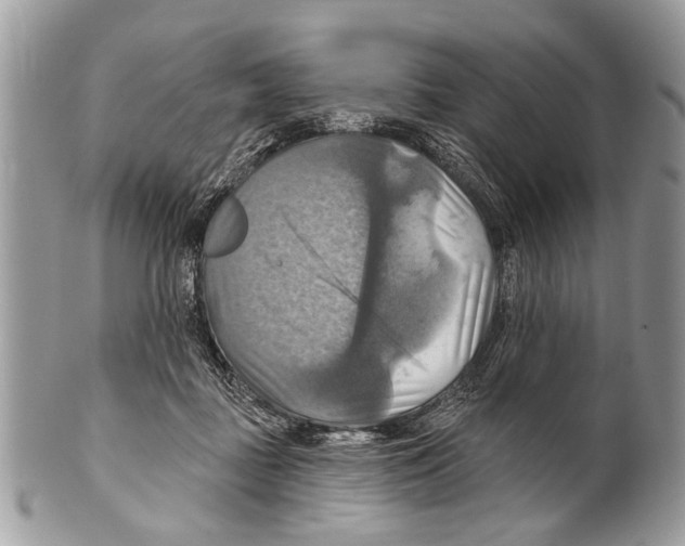 X0000101160363200807251116