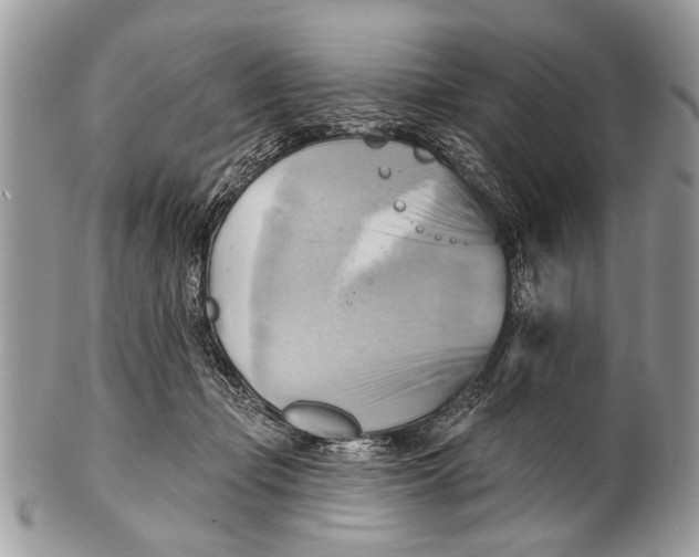 X0000101160365200807251116