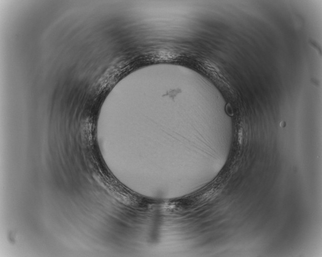 X0000101160366200807251116