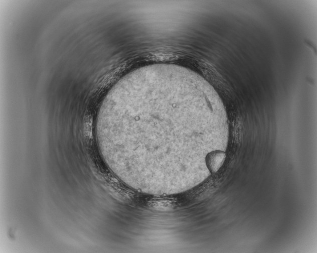 X0000101160368200807251116