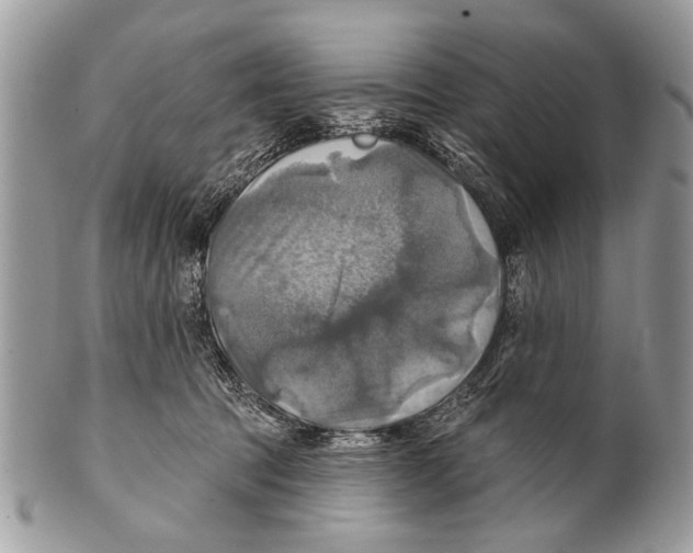 X0000101160369200807251116