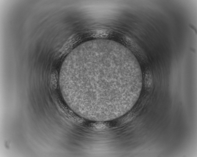 X0000101160370200807251116