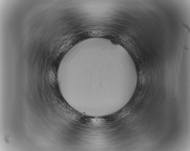 X0000101160371200807251116