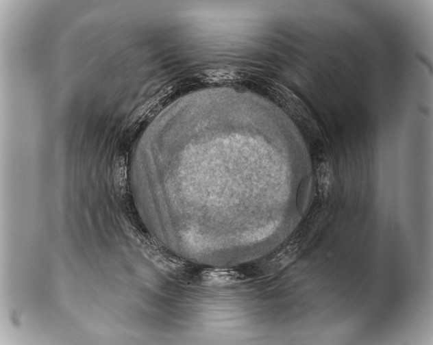 X0000101160372200807251116