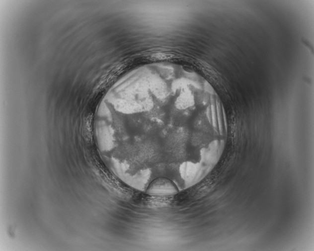 X0000101160373200807251116