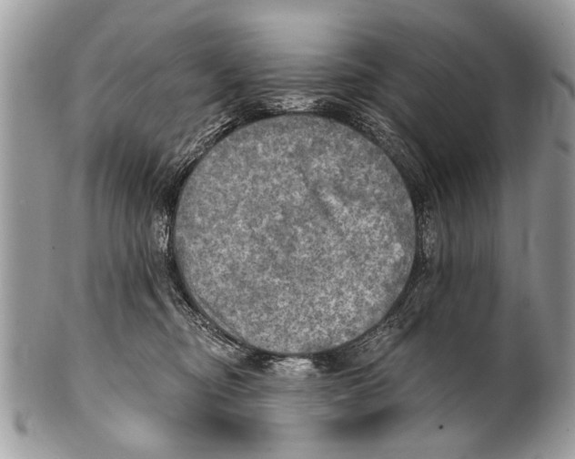 X0000101160374200807251116