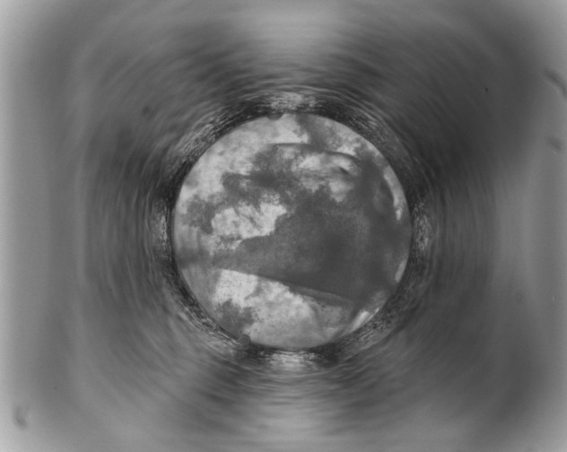 X0000101160375200807251116