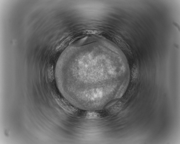 X0000101160376200807251116