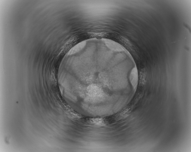 X0000101160377200807251116