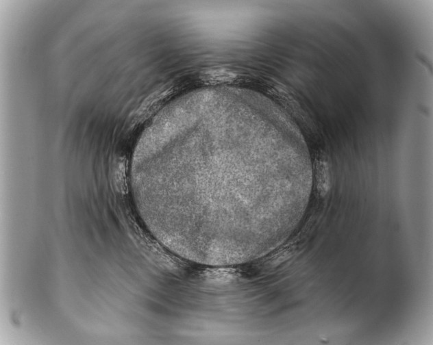 X0000101160378200807251116