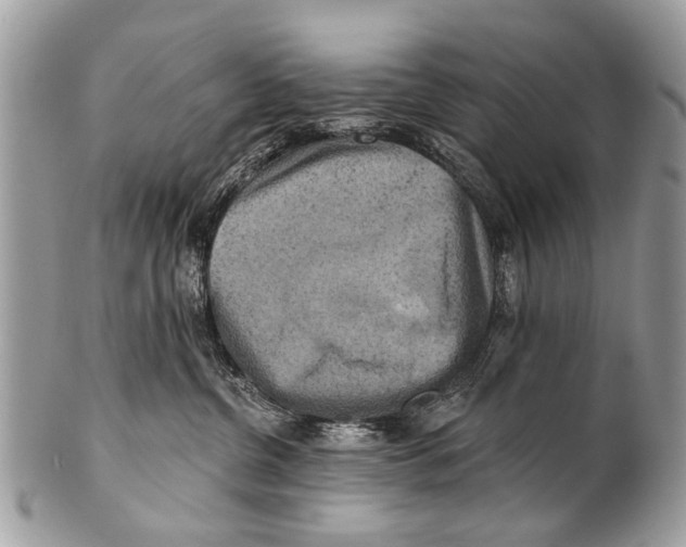 X0000101160380200807251116
