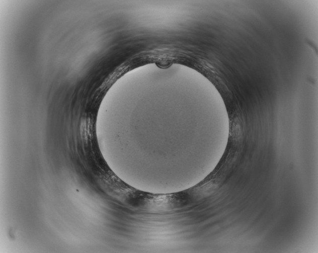 X0000101160382200807251116