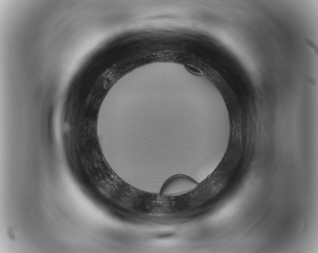 X0000101160383200807251116