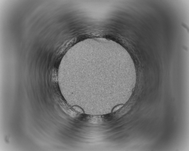 X0000101160384200807251116