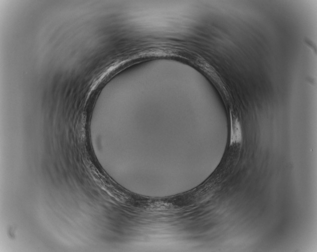 X0000101160387200807251115